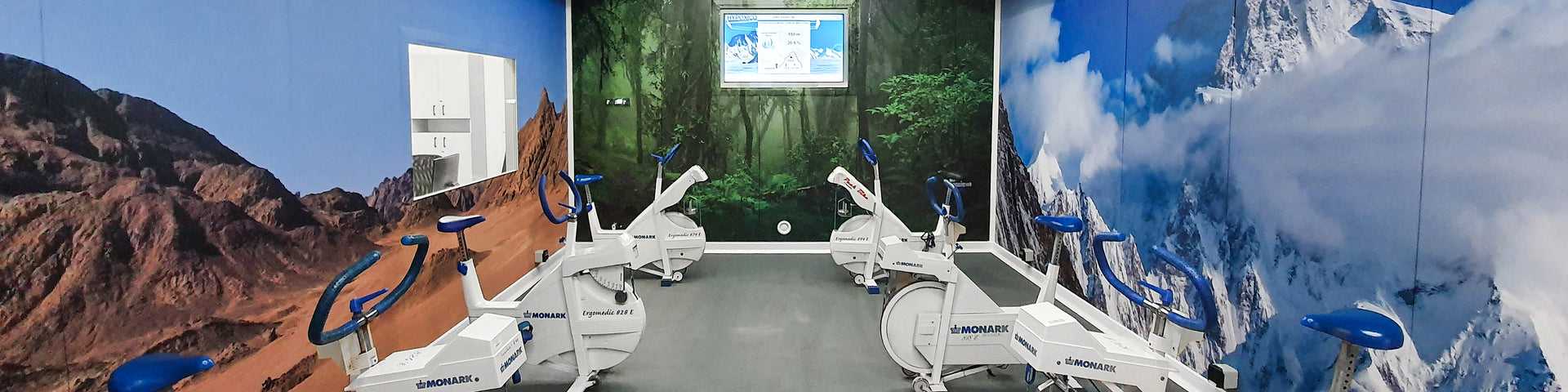 Environmental chamber with ellipticals inside