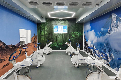 Environmental chamber with ellipticals inside